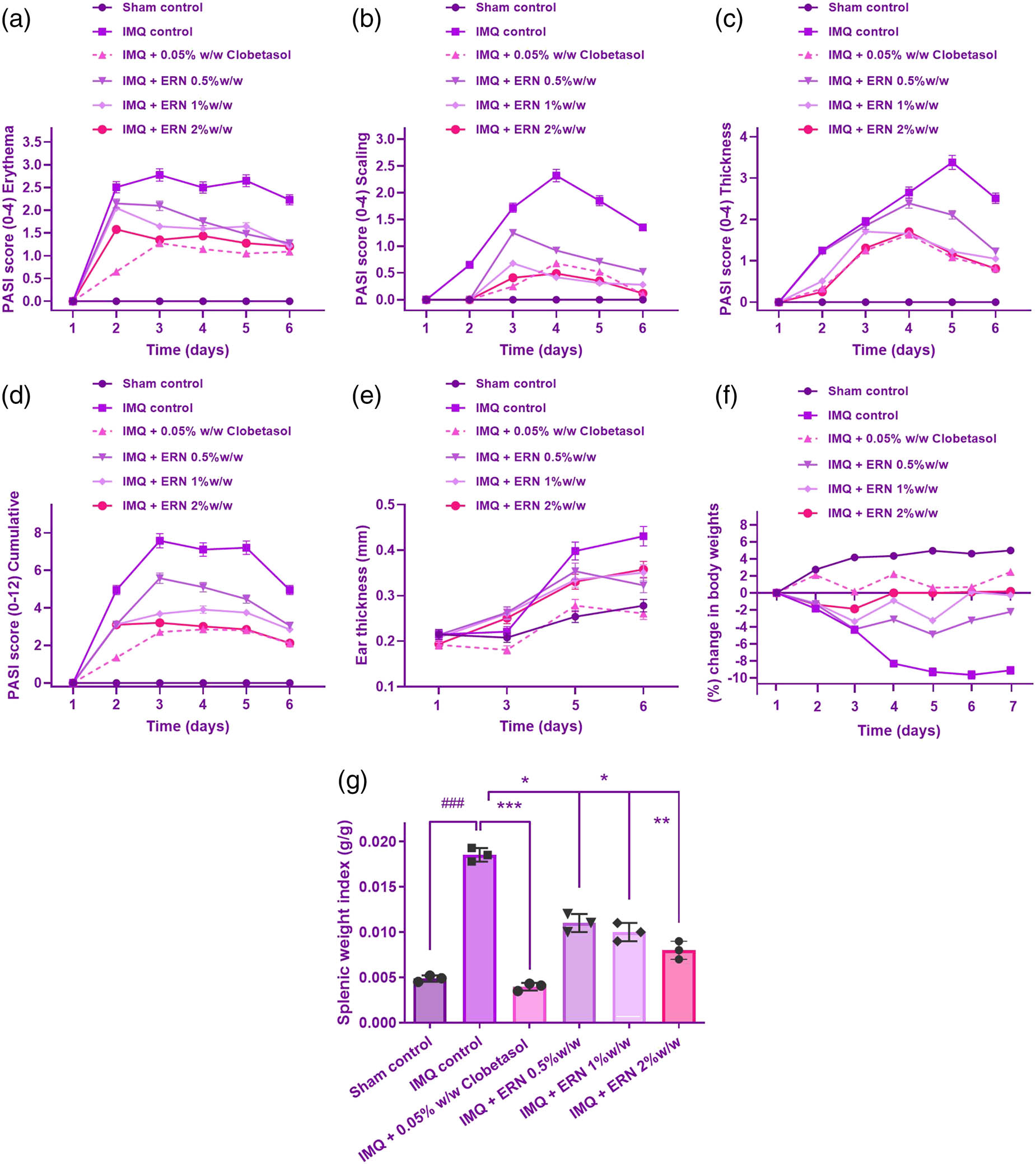 Figure 3 
                  Effect of ERN on IMQ-induced psoriasiform severity in mice. ERN treatment significantly alleviated psoriatic skin changes in mice after 6 days, resembling human psoriasis. The severity of psoriasiform lesions was evaluated using the PASI based on erythema (redness), scaling, and skin thickness, scored from 0 to 4. The following parameters were assessed: (a) Erythema, (b) scaling, (c) thickness, (d) cumulative PASI score, (e) ear thickness, measured using a screw gauge on days 1, 3, 5, and 6, (f) changes in body weight induced by IMQ and its modulation by ERN treatment, (g) spleen mass, calculated as the spleen-to-body weight ratio, comparing ERN-treated and IMQ control groups. Results are expressed as mean value ± SEM (n = 8). ###
                     p < 0.001; ##
                     p < 0.01, #
                     p < 0.05 compared with the sham control group; *p < 0.05, **p < 0.01, and ***p < 0.001 compared with the IMQ alone treated group; ns, non-significant.
               