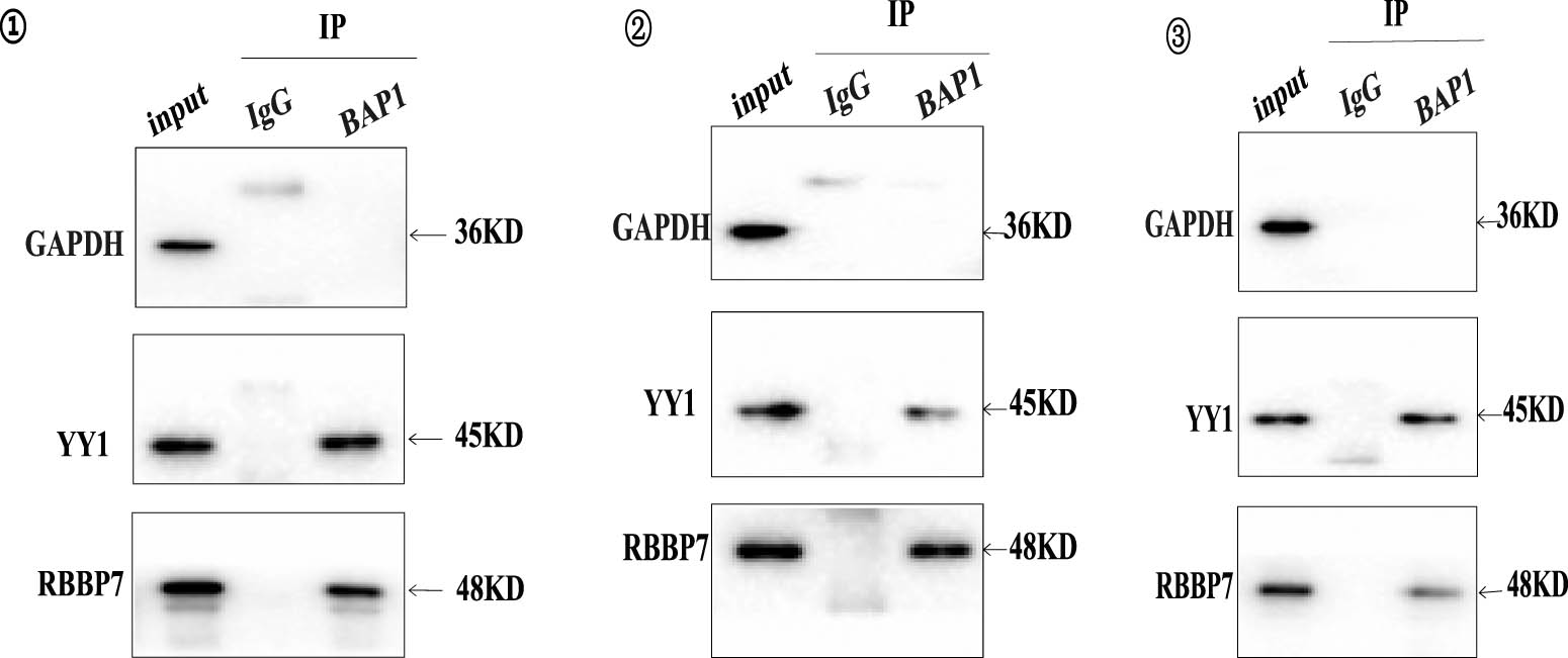 Teaser image from the article