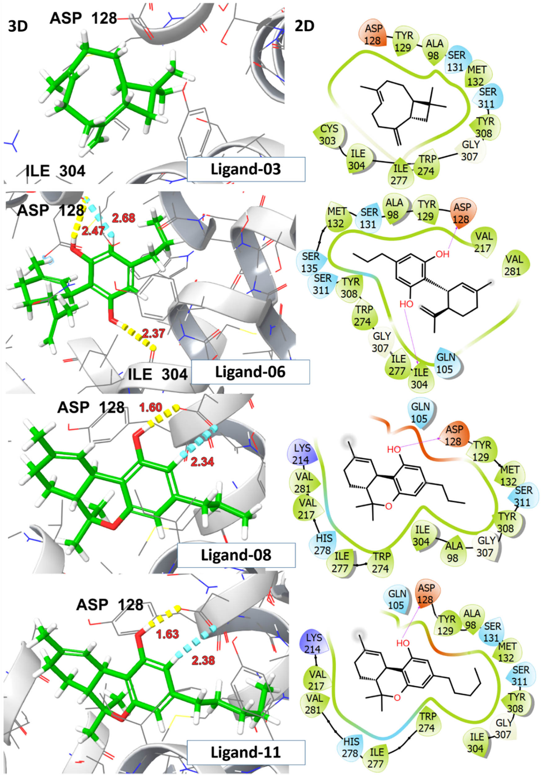 Figure 9 
                  2D and 3D representation of investigated ligands 03, 06, 08, and 11 with δ-opioid receptor (PDB ID:6PT3).
               