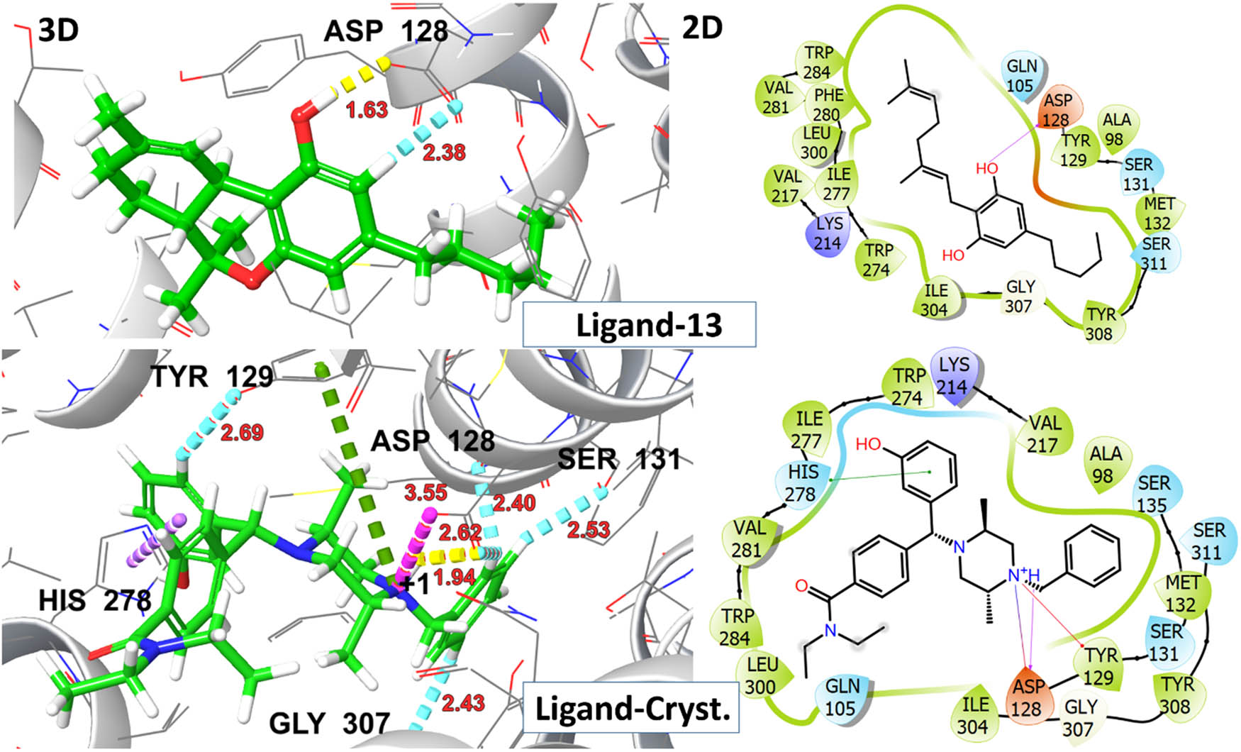Figure 10 
                  2D and 3D representation of ligands 13 and DPI-278 (co-crystallized ligand) with δ-opioid receptor (PDB ID: 6PT3).
               