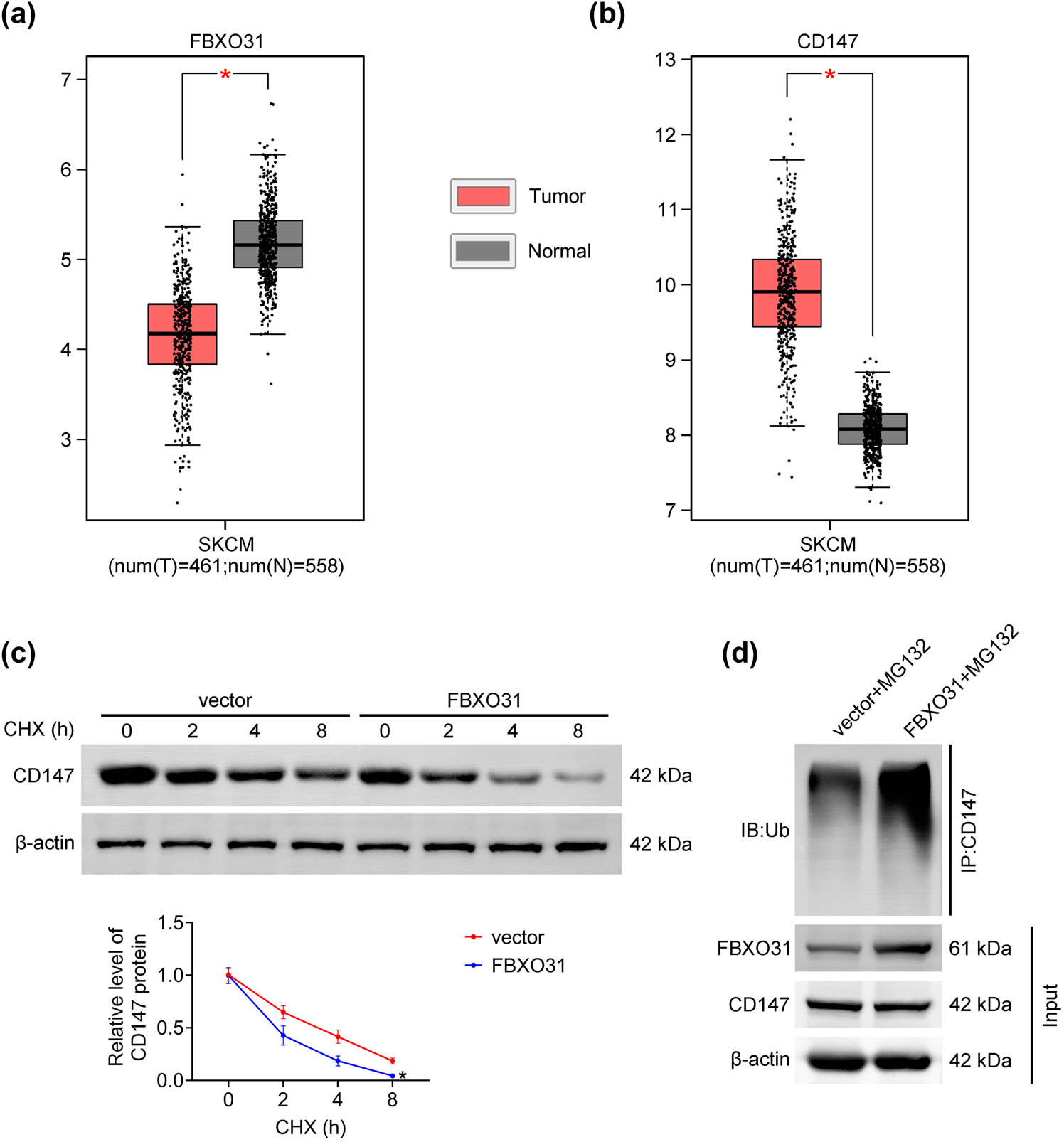Teaser image from the article