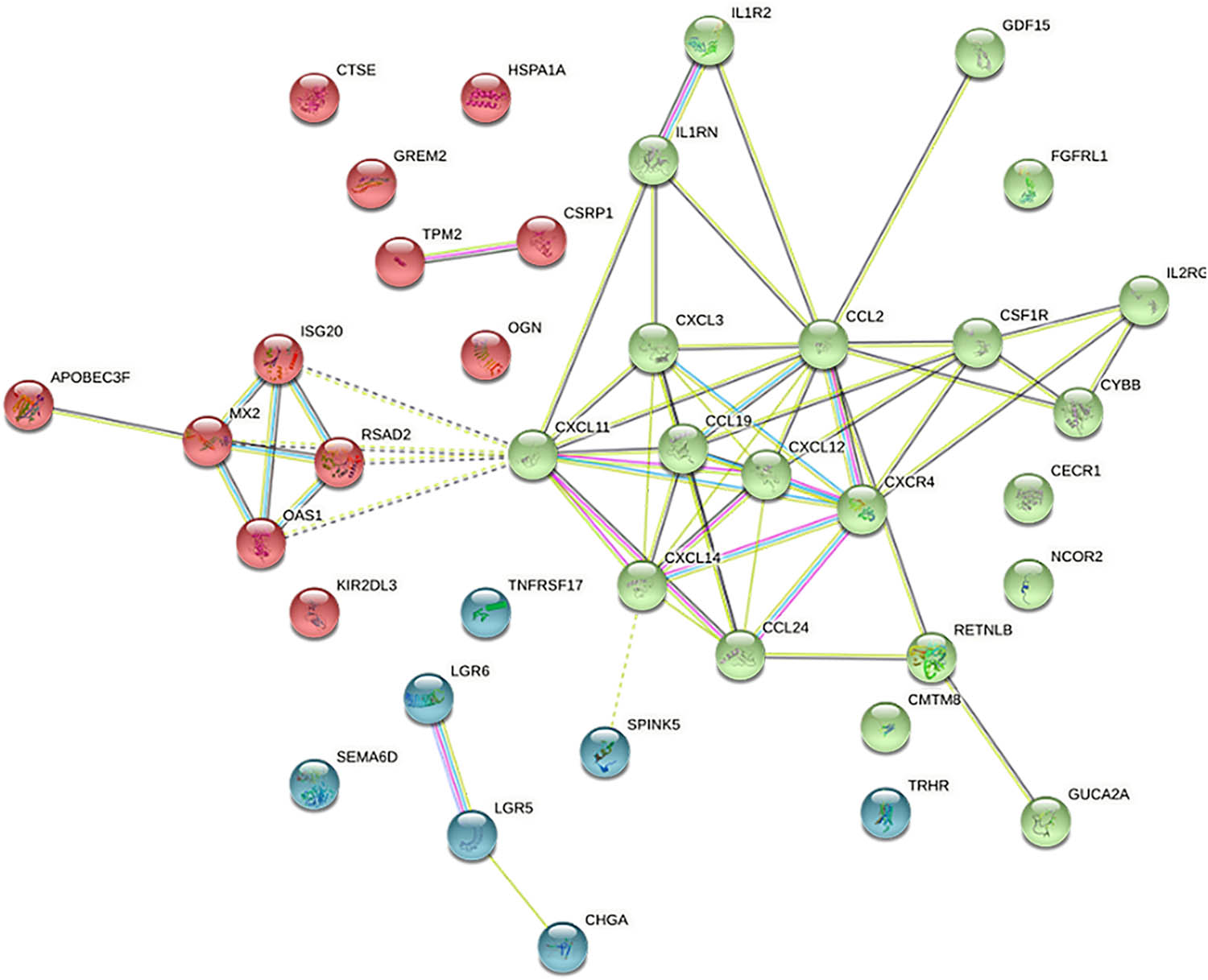 Figure 3
PPI network for DEGs.