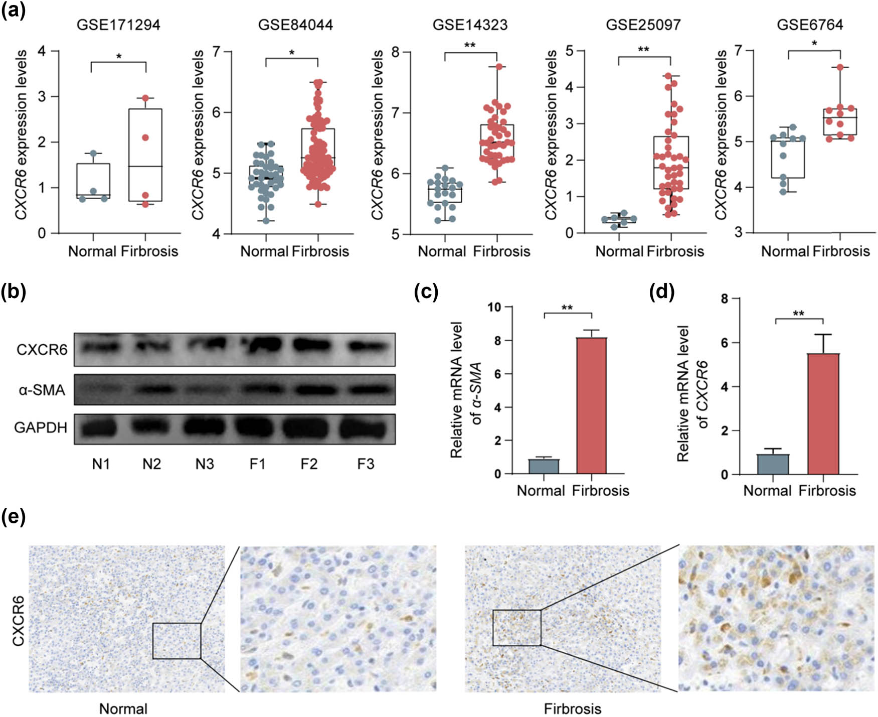 Teaser image from the article