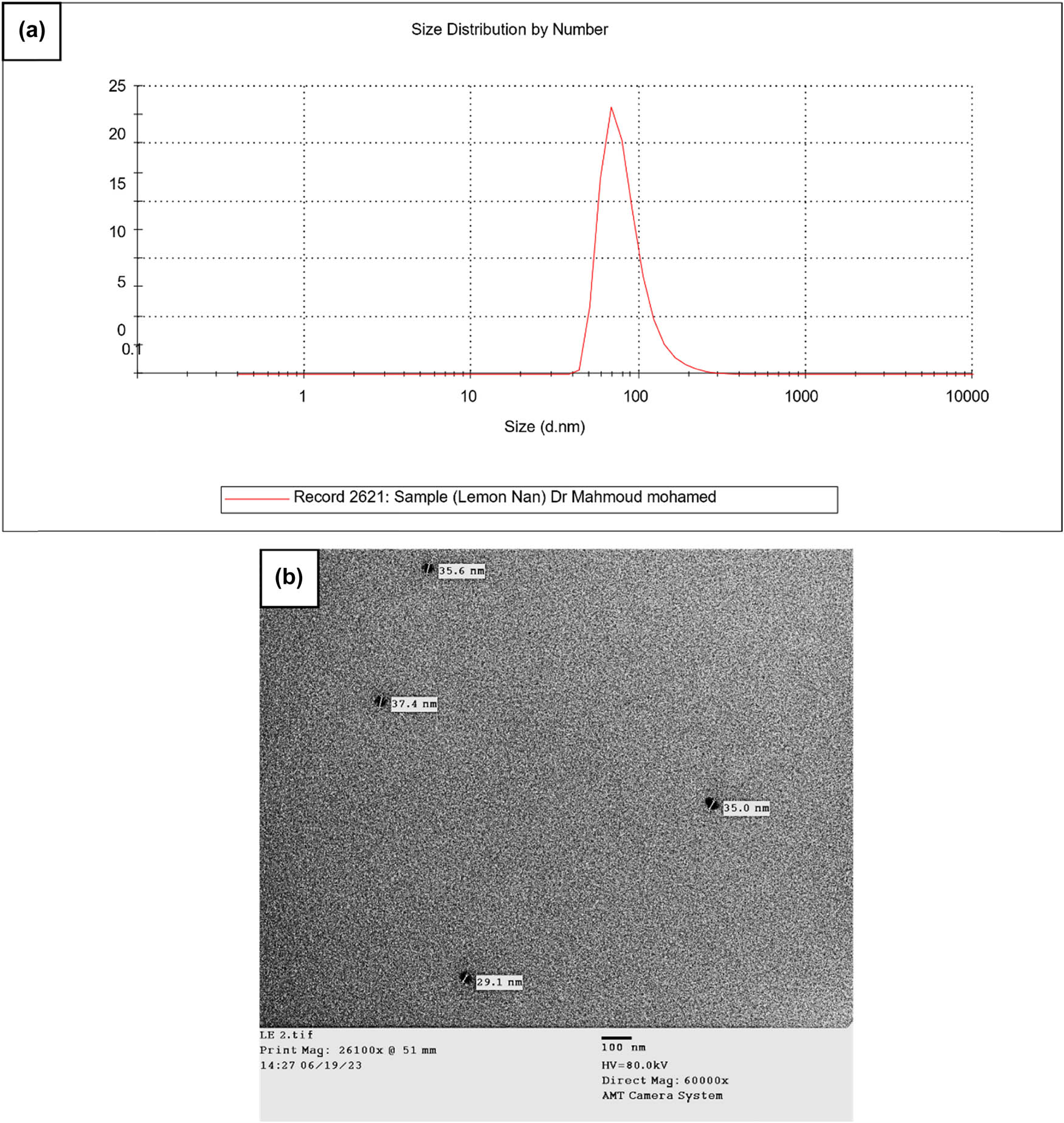 Figure 2 
                  (a) Effect of ultrasonication on the particle size of LEO-NEs prepared by the ultraـsonication method (peak at 91.3 nm; PDI = 0.163). (b) TEM picture of a 30 min ultrasonication-prepared LEO-NEs (size range: 29.1–37.4 nm).
               