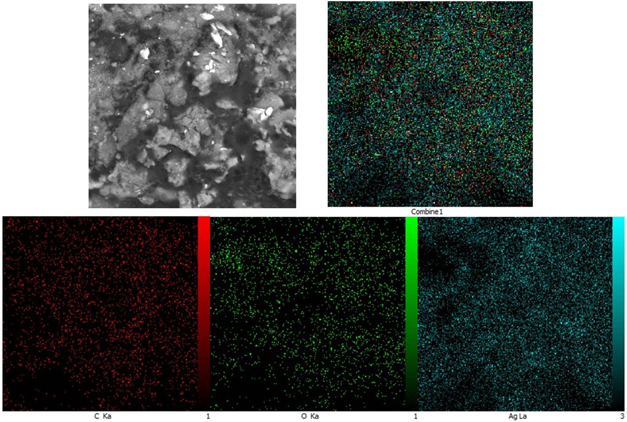 Figure 3
EDX mapping of the synthetic AgNPs using S. aromaticum extract.