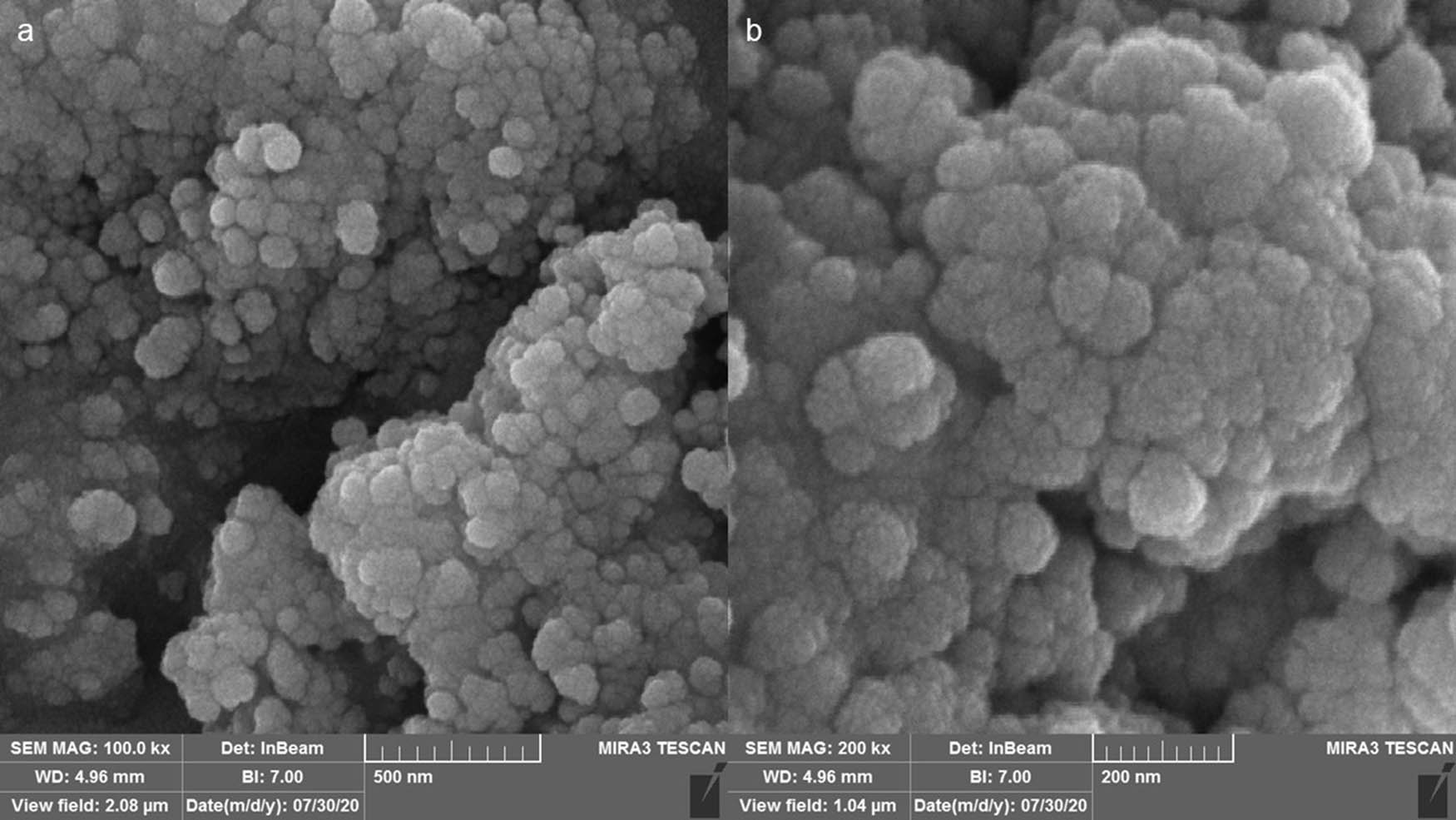 Figure 4
FE-SEM images of the synthetic AgNPs using S. aromaticum extract at different scales. (a) 500 nm; (b) 200 nm.