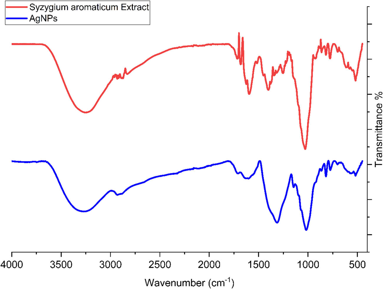 Figure 7
FT-IR spectrum of the synthetic AgNPs using S. aromaticum extract.