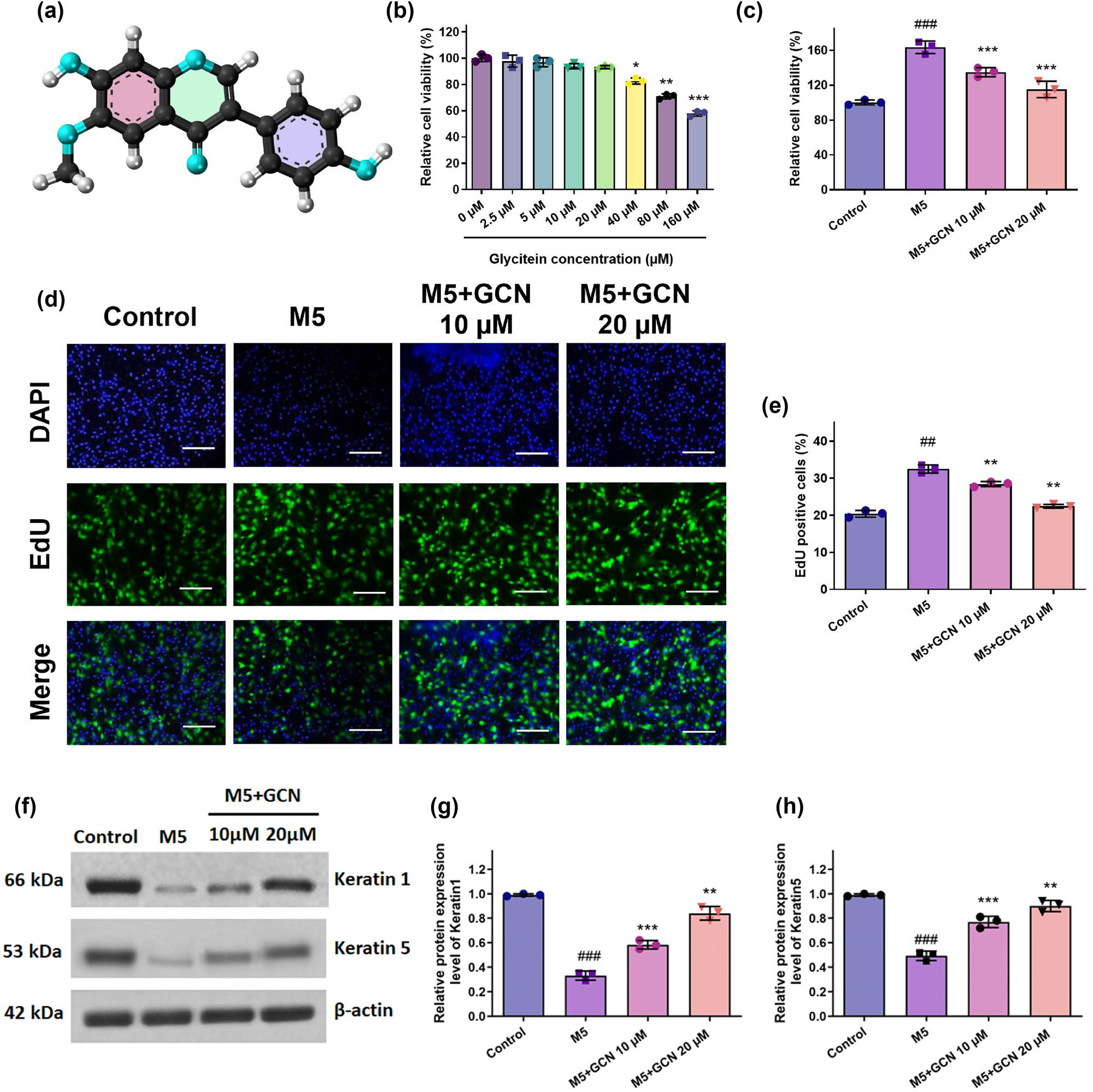 Teaser image from the article