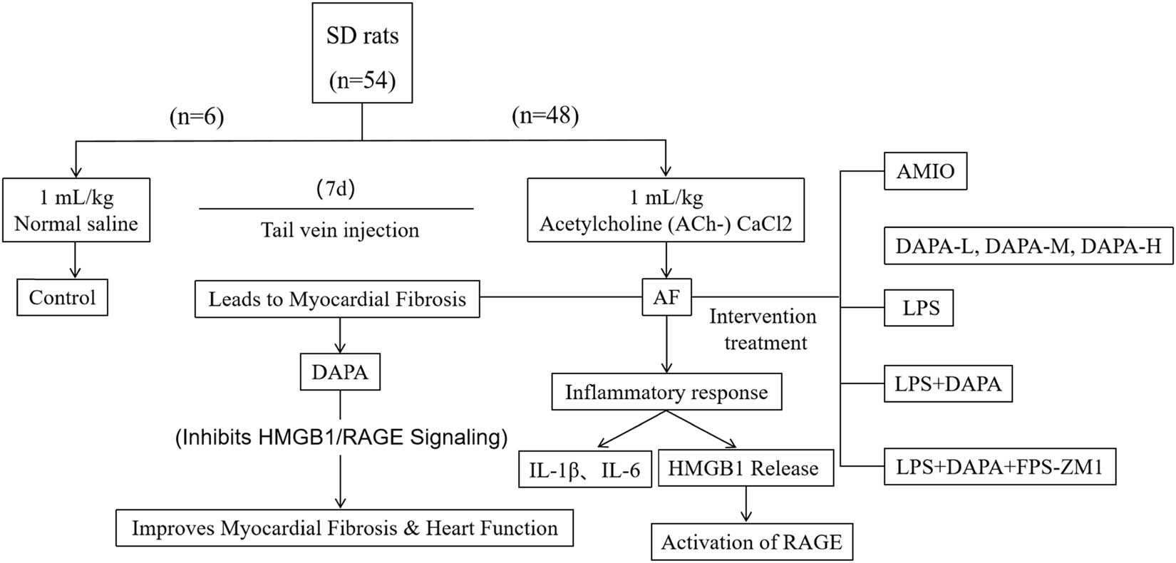 Teaser image from the article