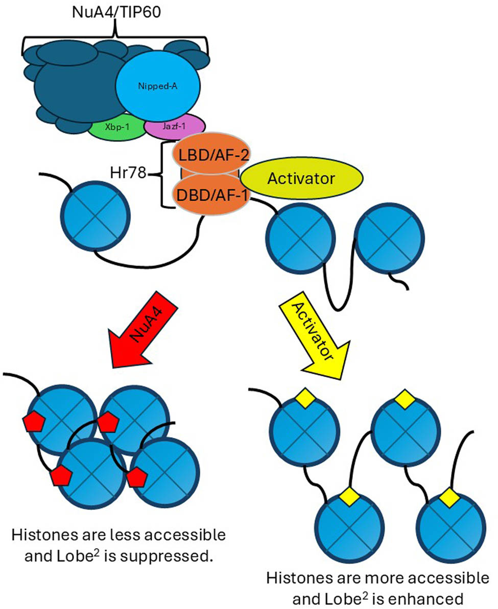 Teaser image from the article