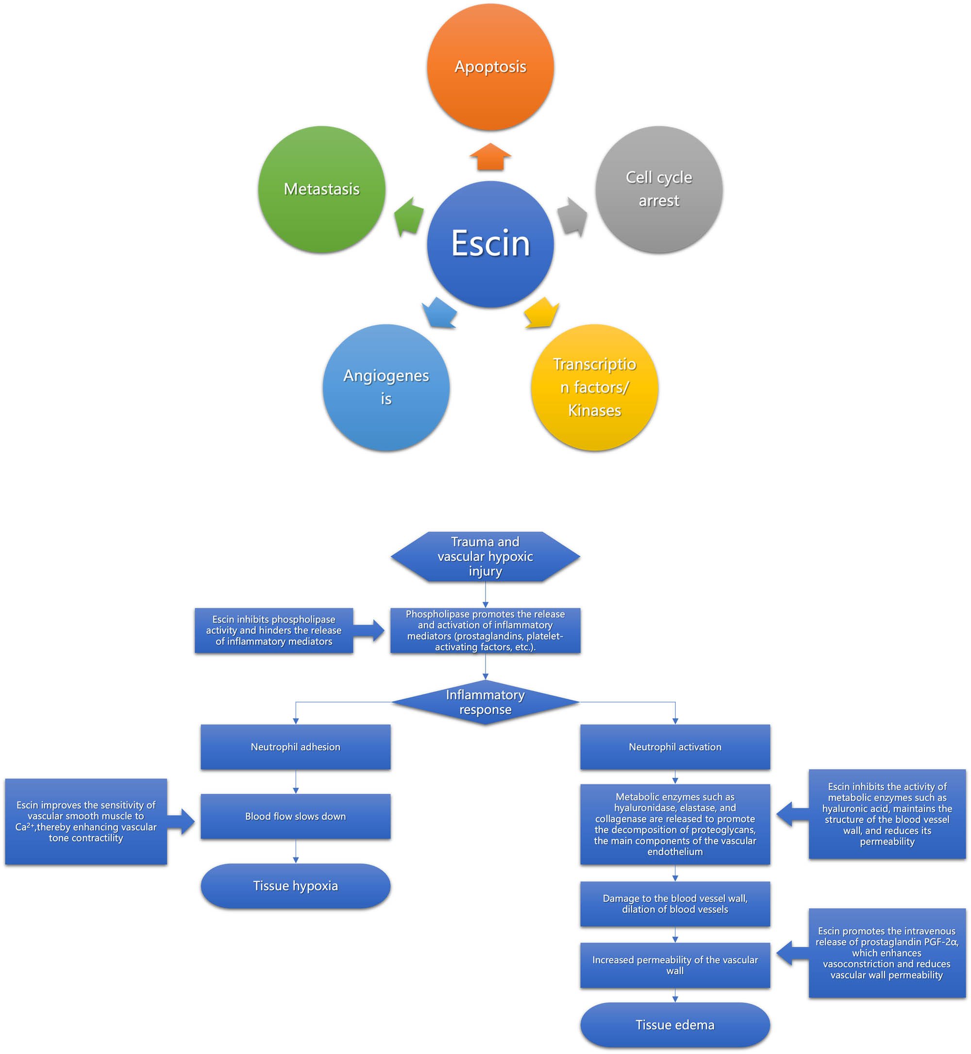 Teaser image from the article