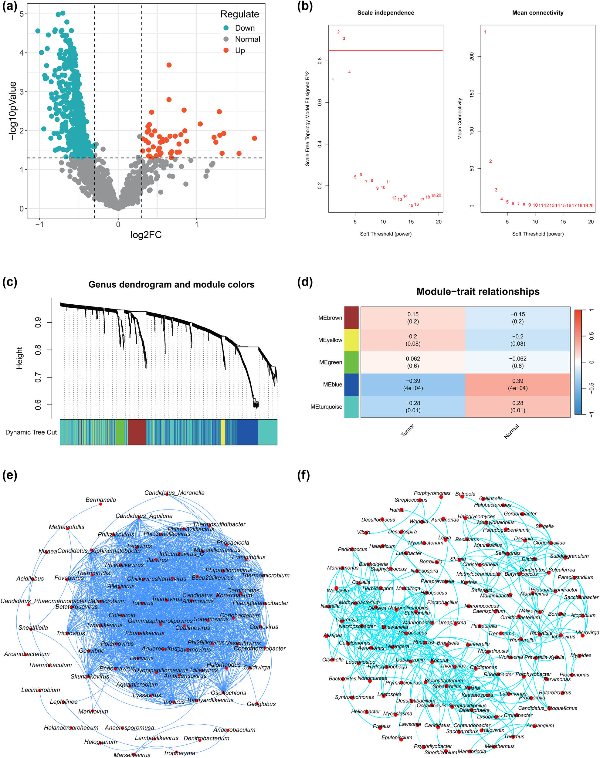 Teaser image from the article