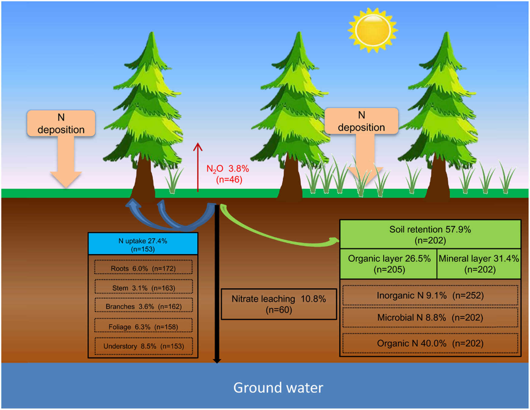 Figure 2 
                  Fate of the deposited N in forest ecosystems. The numbers in the parentheses are the numbers of observations.
               