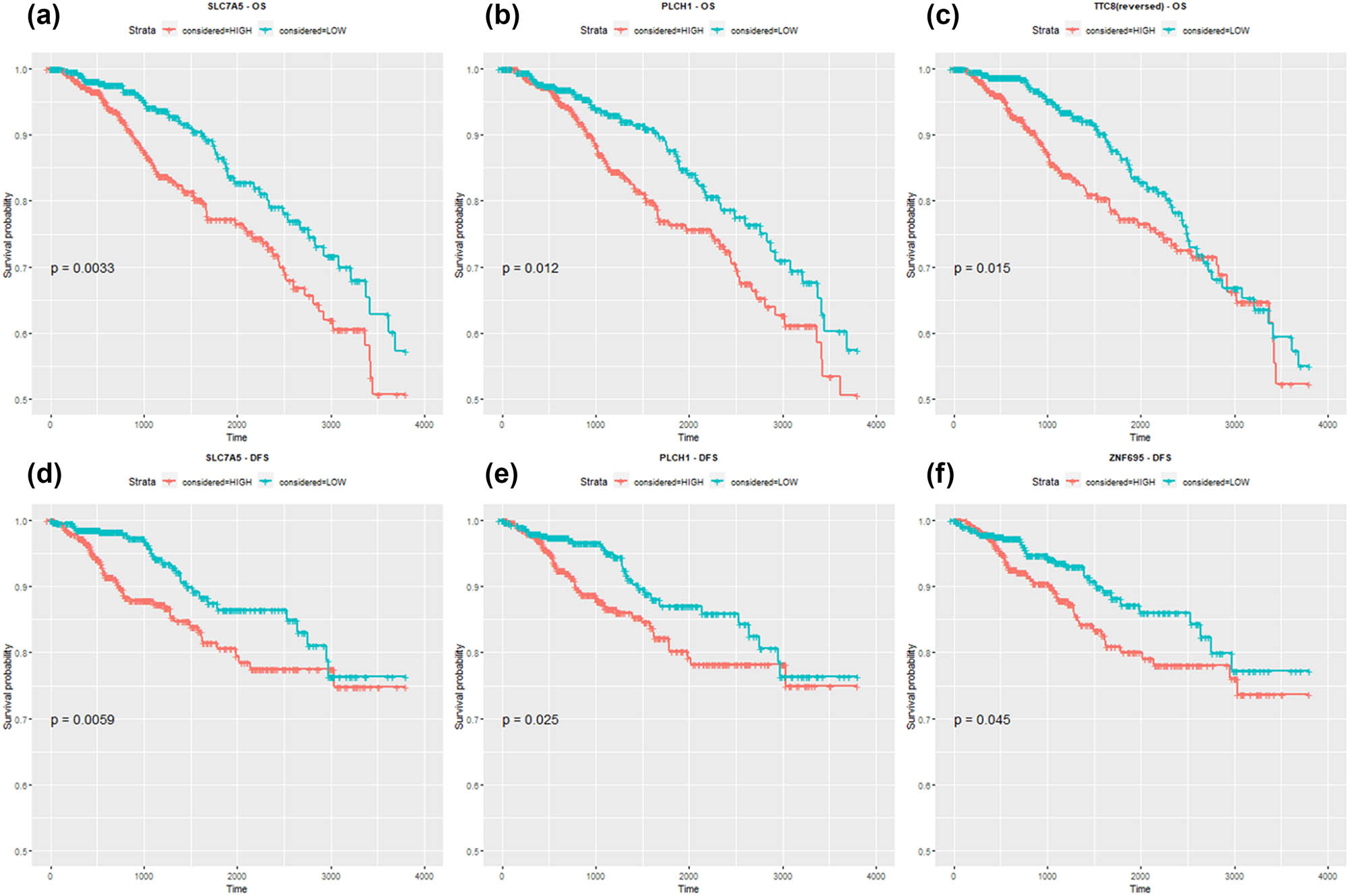 Figure 5 
                  Kaplan–Meier curves for DEGs extracted from ER status comparison ((a) SLC7A5 [OS], (b) PLCH1 [OS], (c) TTC8 [OS], (d) SLC7A5 [DFS], (e) PLCH1 [DFS], and (f) ZNF695 [DFS]) that were found statistically significant.
               