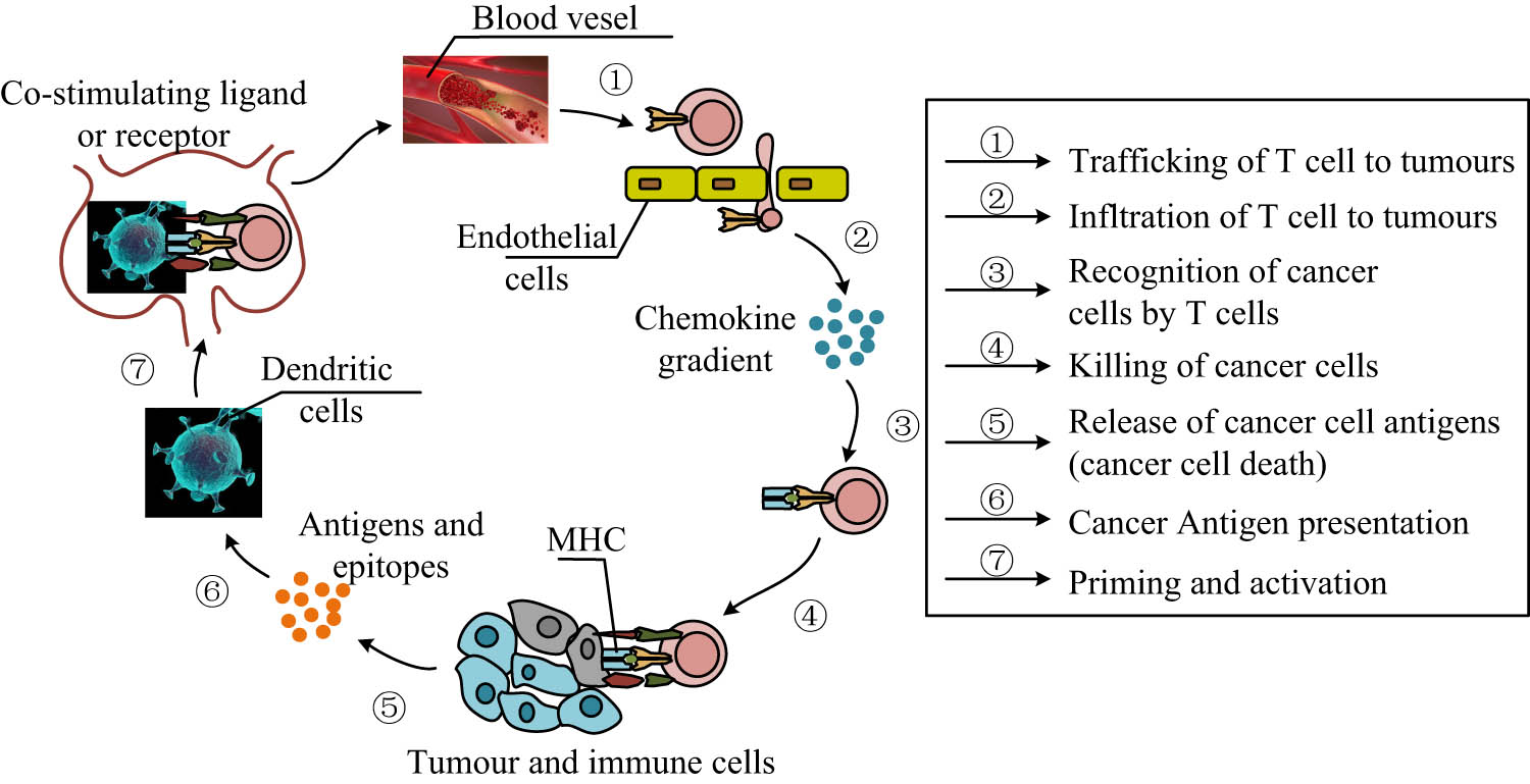 Teaser image from the article