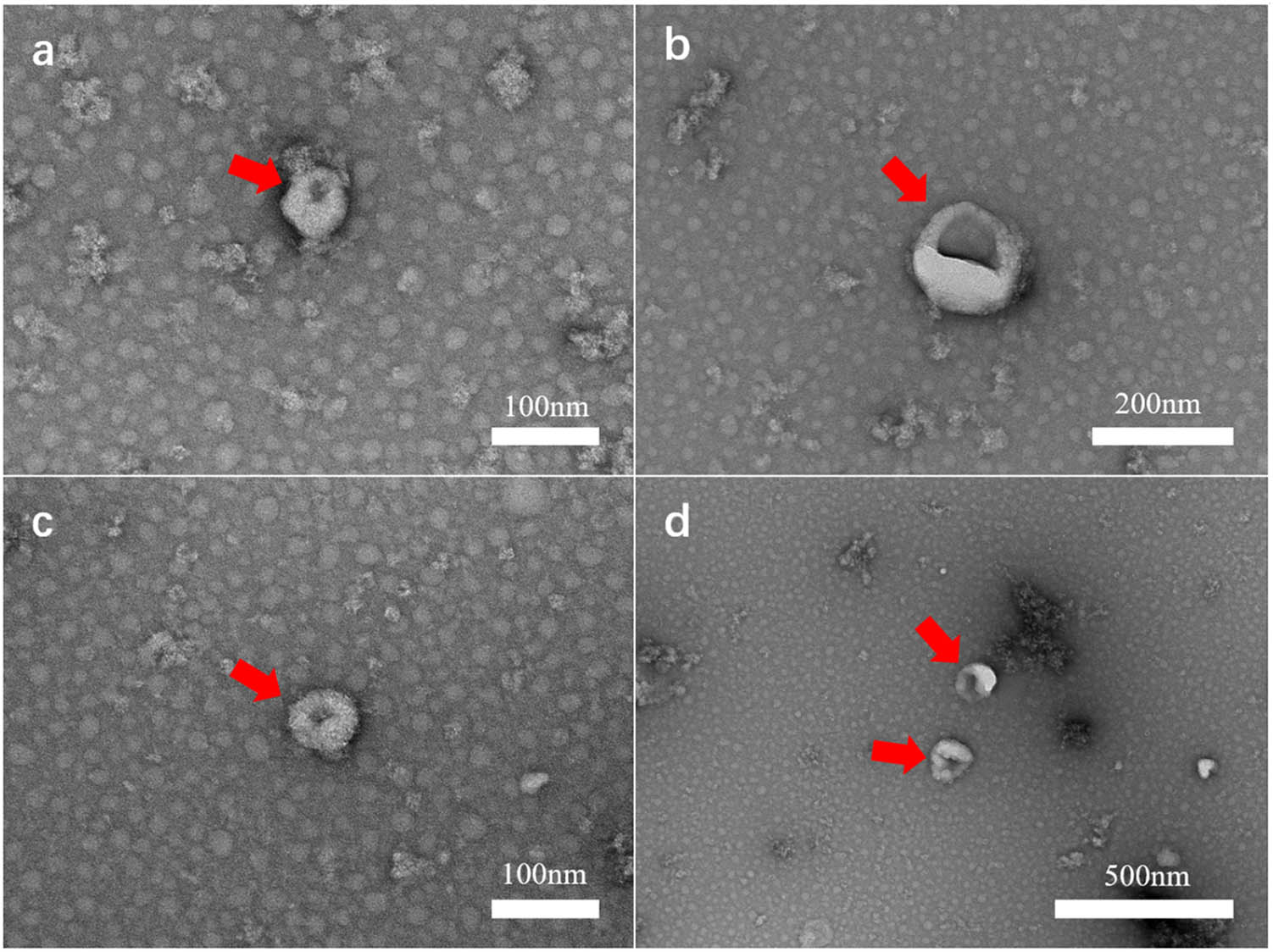 Teaser image from the article