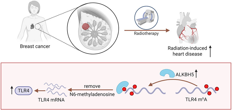 Teaser image from the article