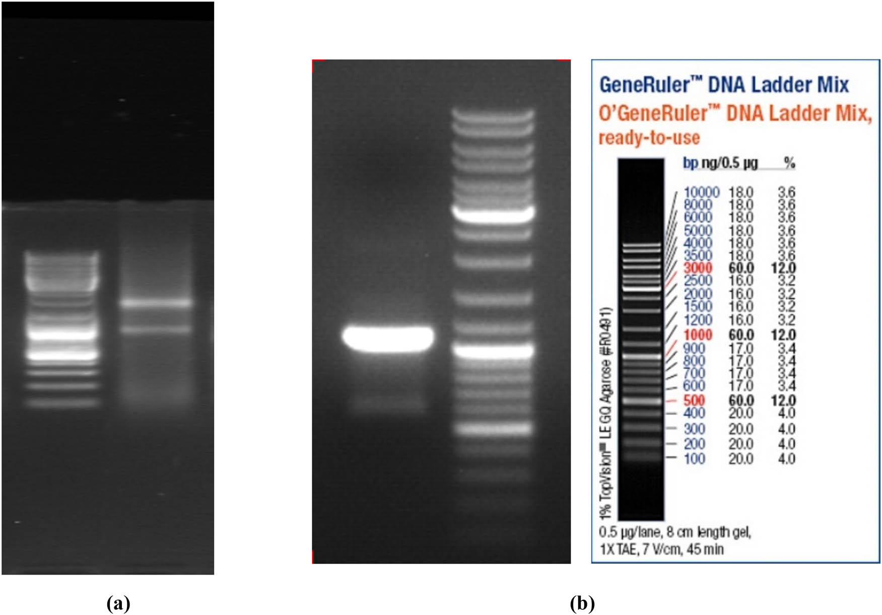 Teaser image from the article