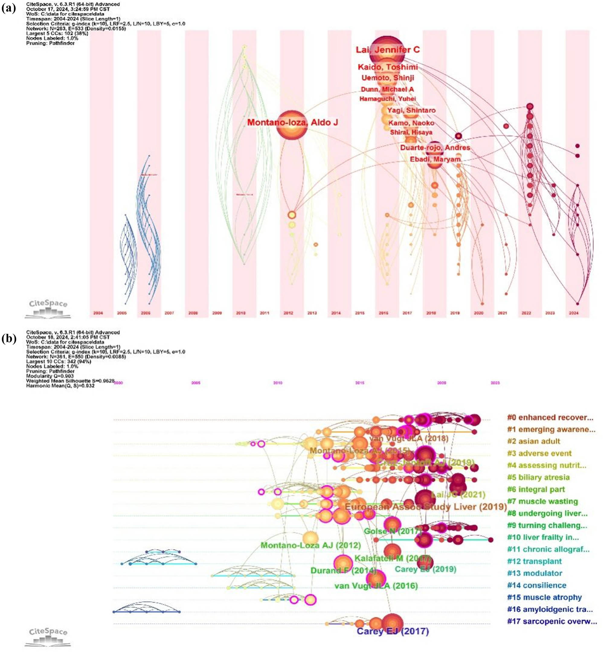 Teaser image from the article