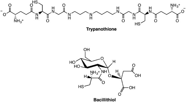 Figure 5: Chemical structures of trypanothione and bacillithiol.