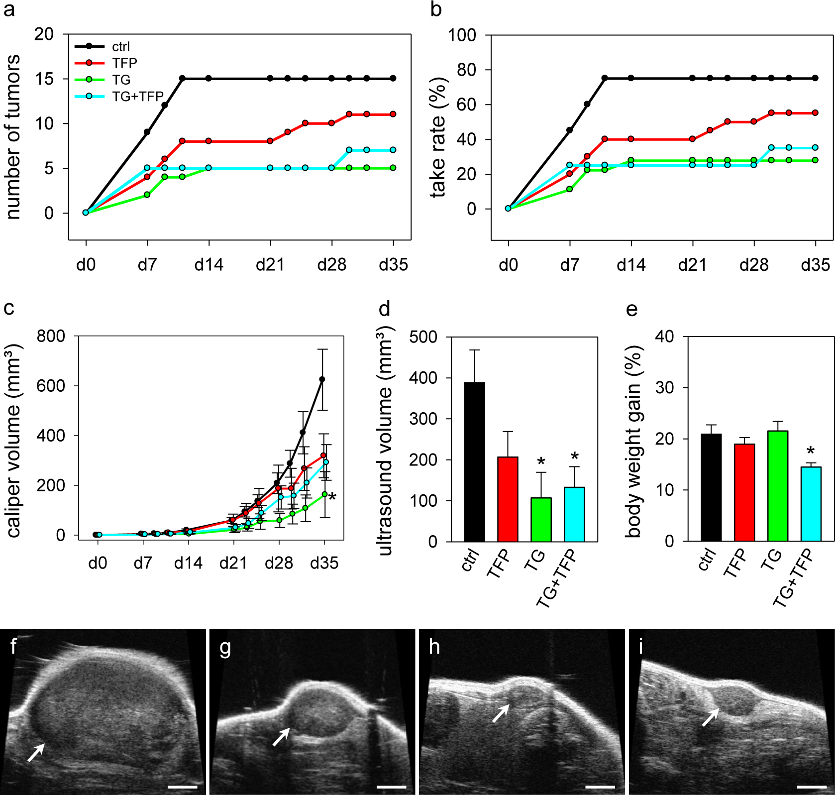 Figure 4 a-b: Number of macroscopic visible FaDu cell tumors and take rate of the tumors in 39 athymic mice treated with the vehicle (ctrl, n=10), 0.5 mg/kg Trifluoperazine (TFP, n=10), 1.6 mg/kg Thapsigargin (TG, n=9) or with both substances (TG+TFP, n=10) three times per week over a time period of 35 days. c-h: Caliper measurements (c) over the whole observation period and ultrasound measurements (d,f-i) on day 35 of the volume of detectable FaDu cell tumors in athymic mice treated with vehicle (f), TFP (g), TG (h) and both substances (i). The body weight gain of the mice during the observation time is shown at day 35 (e). Scale bars: 2.3 mm. Means ± SEM. ∗p <0.05 vs. control.