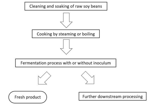 Figure 3 The typical production process of fermented soybean (FSB) products.
