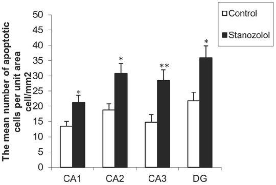 Figure 6 The comparison of the mean number of apoptotic cells in the stanozolol group versus the control group in CA1, CA2, CA3 and DG of parts of mature male rats’ hippocampus (mean±SEM). Stanozolol treatment resulted in a statistically significant increase in the number of apoptotic cells in each brain area, when compared to the control group (*PV<0.05 for CA1, CA2 and CA3, **PV<0.01 for CA3).