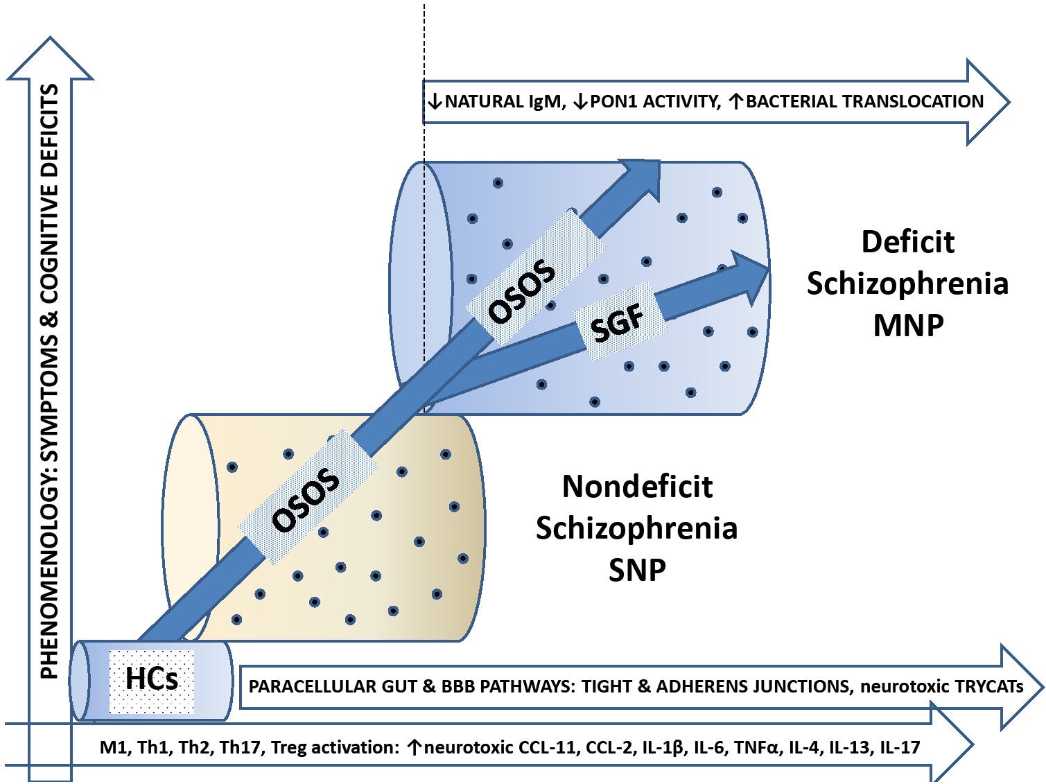 Figure 5 The bifactorial factor model, deficit and nondeficit schizophrenia. OSOS: General factor overall severity of schizophrenia; SGF: single-group factor; BBB: blood brain barrier; TRYCATs: tryptophan catabolites; M1 macrophage; Th: T helper; IL: interleukin; MNP: major neuro-cognitive psychosis; SNP: simple neuro-cognitive psychosis; HC: healthy controls
