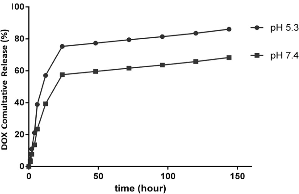 Figure 1 The cumulative release of DOX at various pH values (5.3 and 7.4) at 37°C.