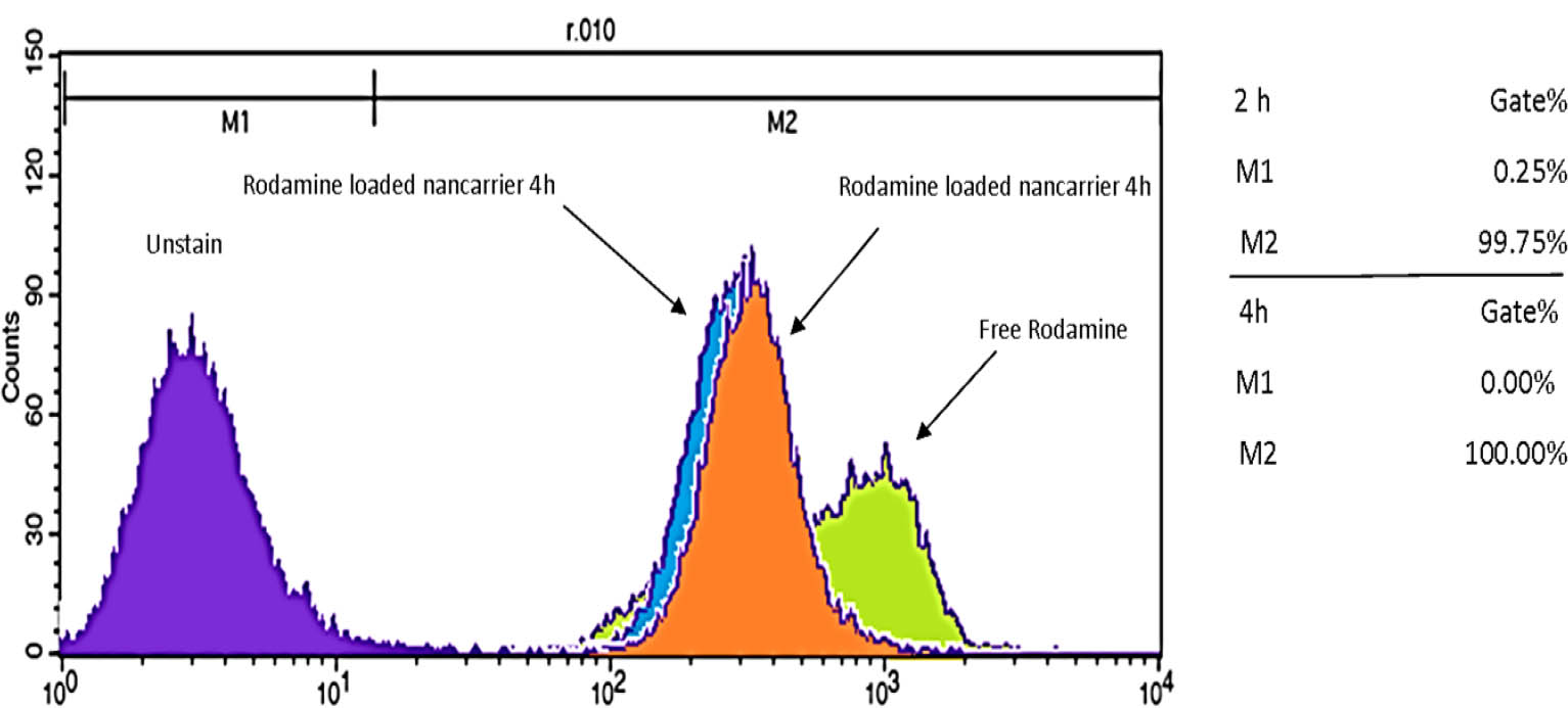 Figure 3 Cellular uptake as a percentage of DOX-nanocarrier by MCF-7 cells, 2 and 4 hours after treatment.