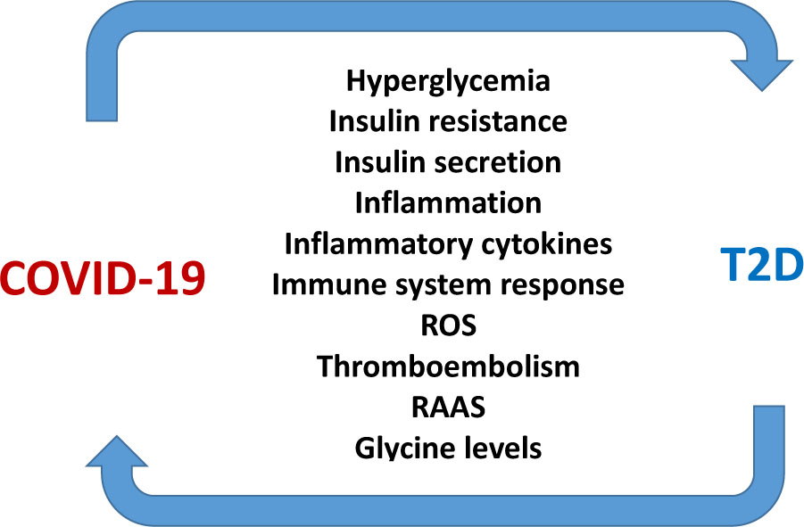 Figure 1 Schematic diagram of the potential common components/mechanisms involved in pathogenesis of both, coronavirus disease 2019 (COVID-19) and Type 2 diabetes mellitus (T2D). COVID-19 may predispose the patients to difficult-to-treat hyperglycemia (51, 85) as well as to insulin resistance and impaired insulin secretion (86), which are known T2D traits; A chronic low-grade inflammation, increased levels of inflammatory cytokines, and a perturbed immune system response are also associated with both of these diseases (21, 22, 87, 88); Furthermore, infection with severe acute respiratory syndrome coronavirus 2 (SARS-CoV-2) stimulates the production of reactive oxygen species (ROS) (20, 89), which is also an established factor associated with T2D (90), vascular endothelial damage, thromboembolism, and cardiovascular complications often present in serious COVID-19 (20); The modulation of the renin–angiotensin–aldosterone system (RAAS) has been associated with hypertension, inflammation, thrombosis, and myocarditis in COVID-19 patients (91); It is established that RAAS inhibition is beneficial in preventing new onset of T2D (92); In addition, decreased glycine levels are also associated with T2D (79–81). Glycine has demonstrated beneficial effects against the inflammatory cytokine secretion induced by SARS-CoV-2 infection (53).