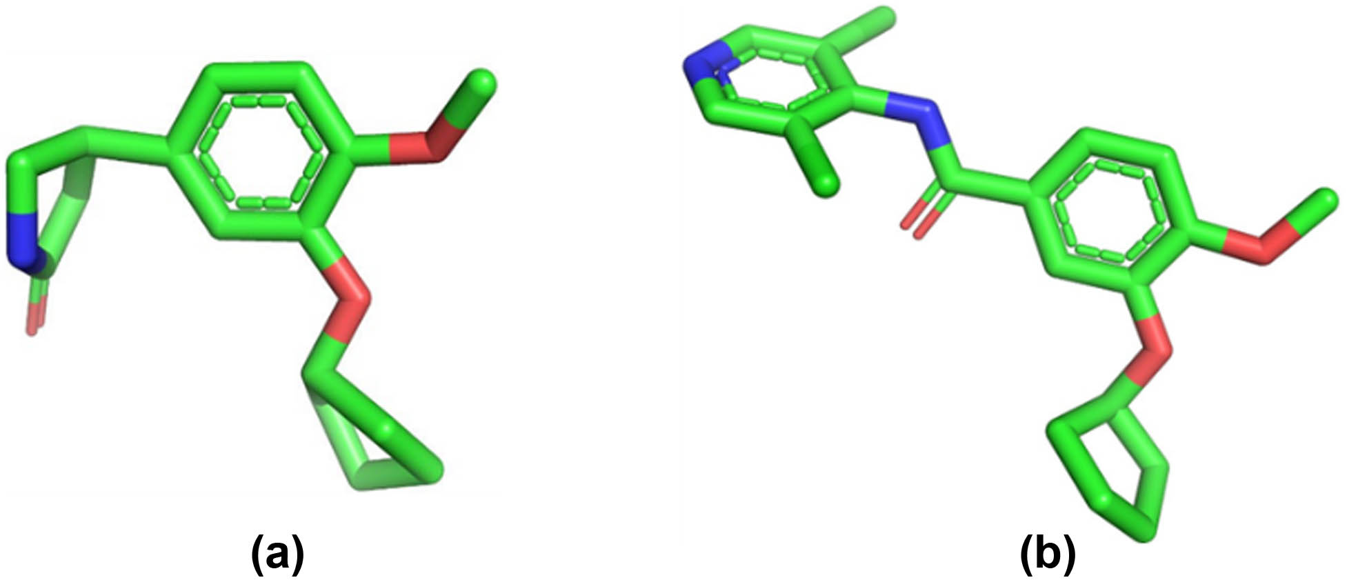 Figure 1 
               PyMOL version of rolipram (a) and piclamilast (b).