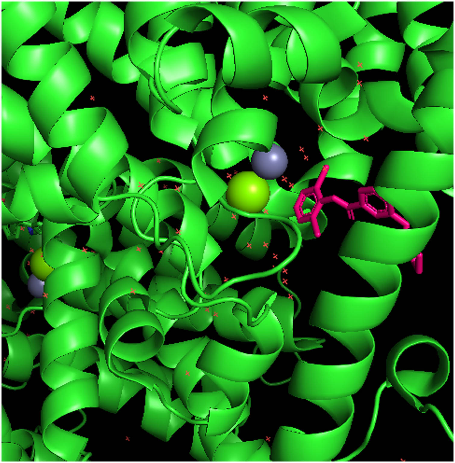 Figure 2 
                  Catalytic domain of human PDE4B in complex with piclamilast (in magenta).