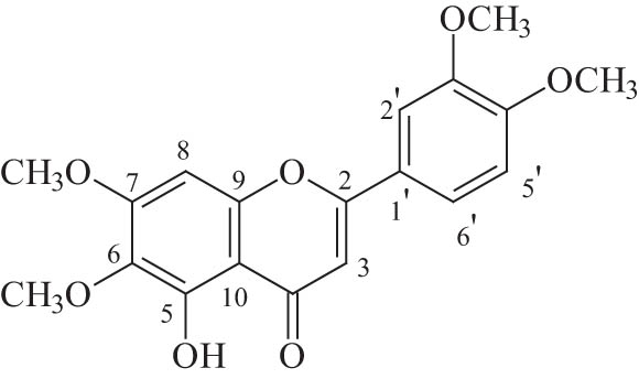 Figure 1
Structure of TMF.
