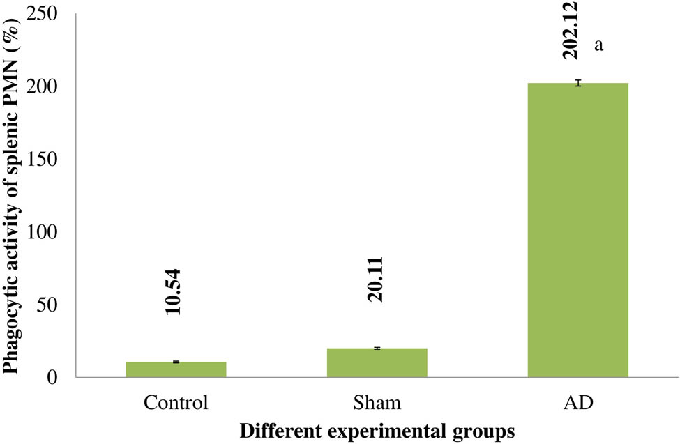 Figure 3 
                  The splenic PMN of several experimental rat groups’ phagocytic activities. Statistically significant (p < 0.001) differences between AD animals and placebo/sham-treated rats were seen. Data are presented as the mean ± SEM (animals n = 9). Abbreviations: AD = intracerebroventricular Aβ injected group; Sham = sham-treated group.
               