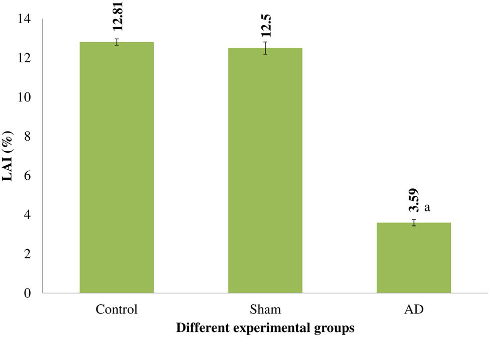 Figure 5 
                  LAI of several rat experimental groups. Statistically significant (p < 0.001) differences between AD animals and placebo/sham-treated rats were seen. Data are presented as the mean ± SEM (animals n = 9). Abbreviations: AD = intracerebroventricular Aβ injected group; Sham = sham-operated group.
               