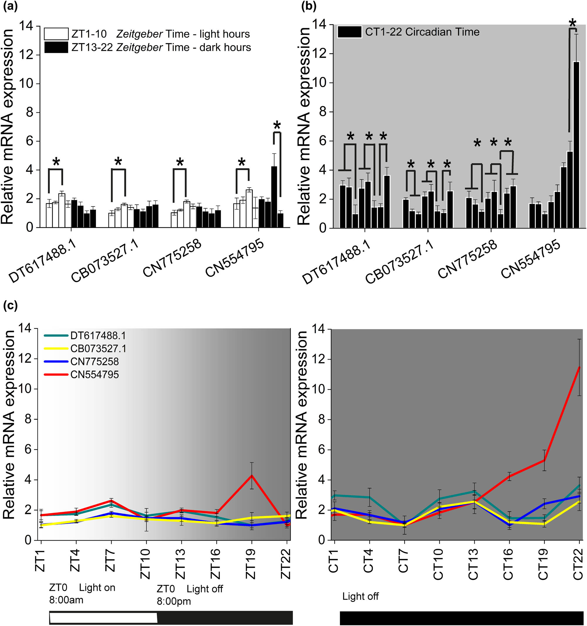Figure 2 
               Opsin-like expression fluctuations along ZT and CT. The different trend of opsin-like expression respectively in (a) L12:D12 diurnal cycle, where the maximum difference values were reached at ZT7 (ZT7 vs ZT1: DT p = 1.6 × 10−4, CB p = 3.4 × 10−3, CN77 p = 9.8 × 10−6, CN55 p = 7.4 × 10−7 and ZT19 VS ZT22: CN55 p = 1.5 × 10−9) and in (b) D12:D12 circadian cycle, where DT, CB, CN77 peaked three times during the circadian time and CN55 exponentially rose (DT: CT1 vs CT7 p = 5.3 × 10−9, CT10 vs CT16 p = 1.1 × 10−9, CT22 vs CT19 p = 2.4 × 10−11; CB: CT1 vs CT7 p = 1.4 × 10−6, CT10 vs CT16 p = 4.1 × 10−8, CT22 vs CT19 p = 1.2 × 10−7; CN77: CT1 vs CT7 p = 1.1 × 10−6, CT10 vs CT16 p = 3.2 × 10−6, CT22 vs CT16 p = 1.2 × 10−7; and CN55: CT22 vs CT19 p = 1.9 × 10−12). (c) ZT versus CT expression fluctuations for all opsin-like. The bars at the base of the plots show respectively the L12:D12 and D12:D12 experimental conditions. Error bars show standard error of the mean.
            
