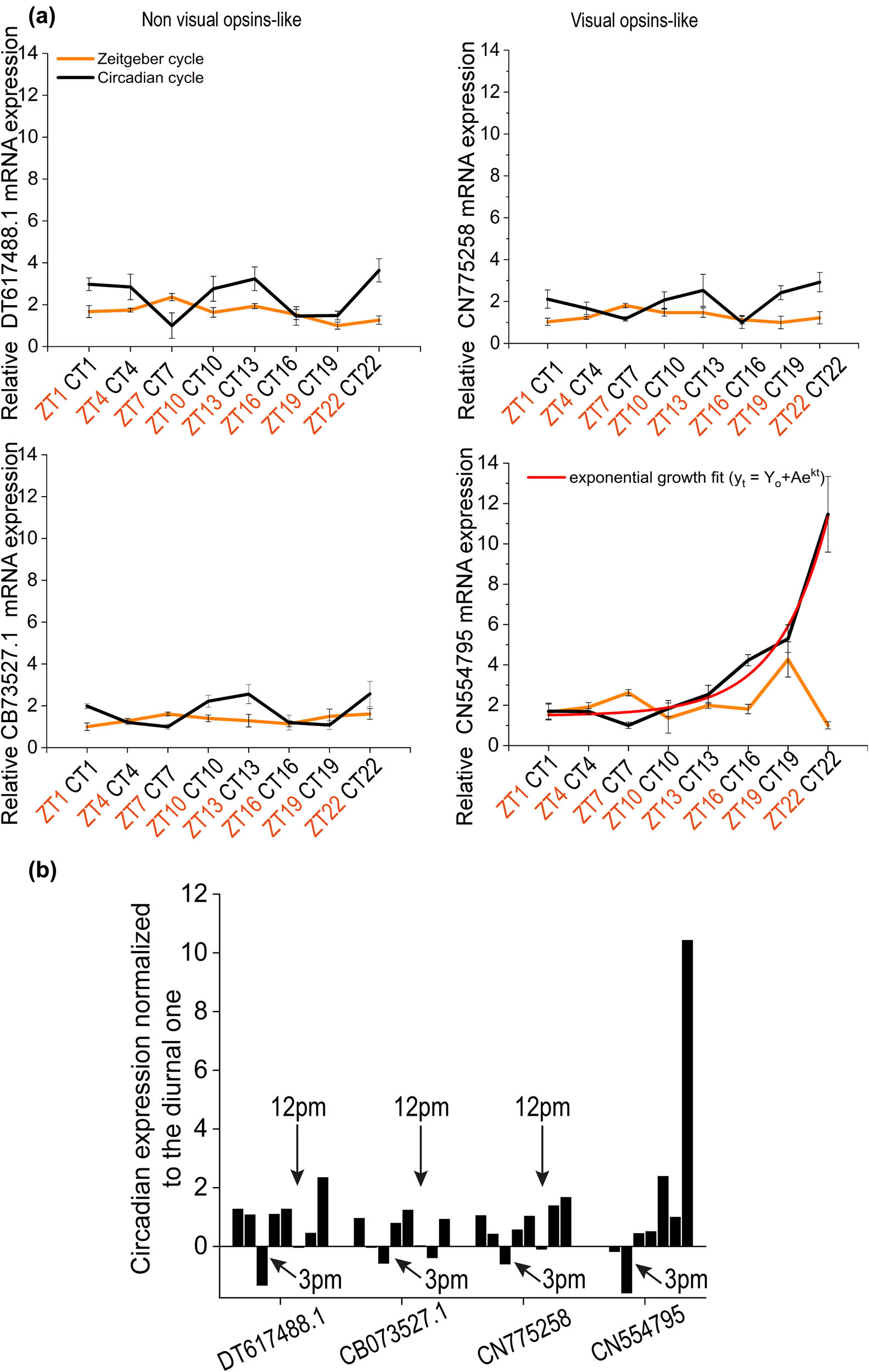 Figure 3 
               Comparison of ZT and CT for each opsin-like. (a) Relative mRNA expression level for Melanopsin-like (DT617488), SW Rhodopsin-like (CN554795), SW Blue sensitive opsin-like (CN7752589), and Peropsin-like (CB073527.1) in which the continuous darkness conditions was compared respect to the diurnal one. Error bars show standard error of the mean. (b) Circadian expression levels normalized to the corresponding diurnal ones for each opsin-like.
            
