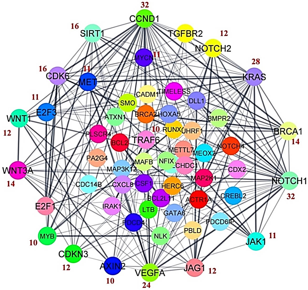 Figure 1 
                  A physical interactive network of predicted target genes of DEM. The top 20 hub genes were selected on the basis of degree centrality. The numbers mentioned in red color indicate the number of degrees of respective hub genes.
               