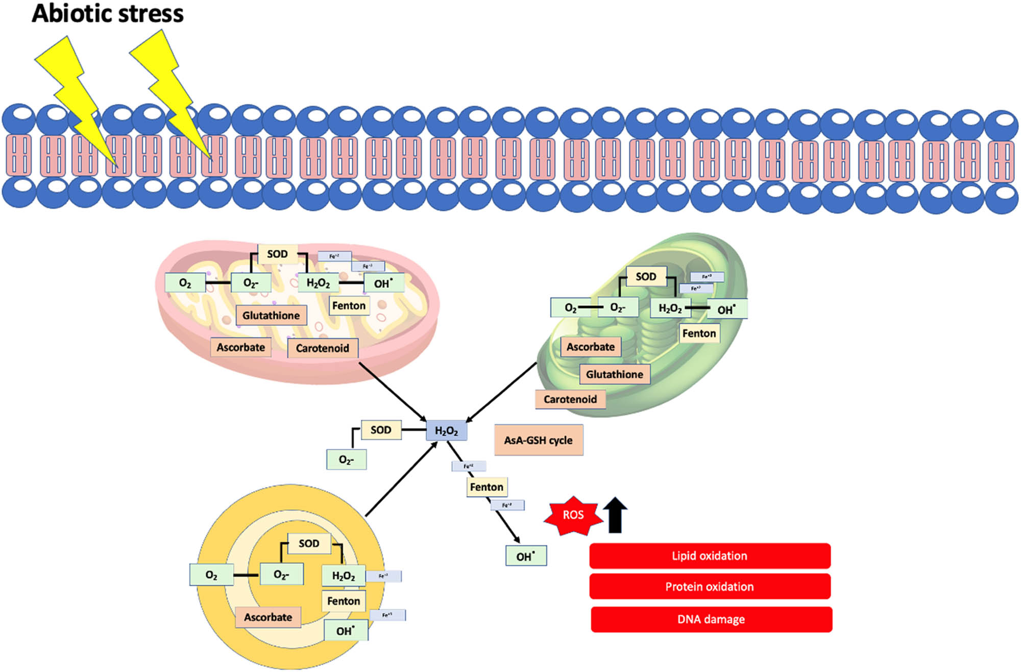 Teaser image from the article