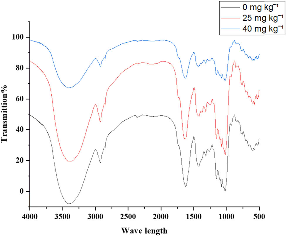 Figure 5
FTIR spectra of tomato leaves at three levels of PNP: 0, 25, and 40 mg kg−1.