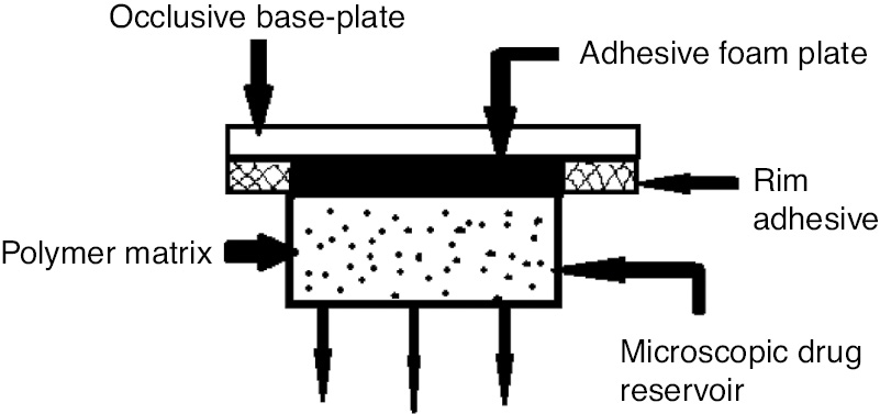 Figure 4: Micro-reservoir system.