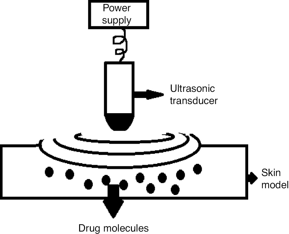 Figure 6: Sonophoretic apparatus.