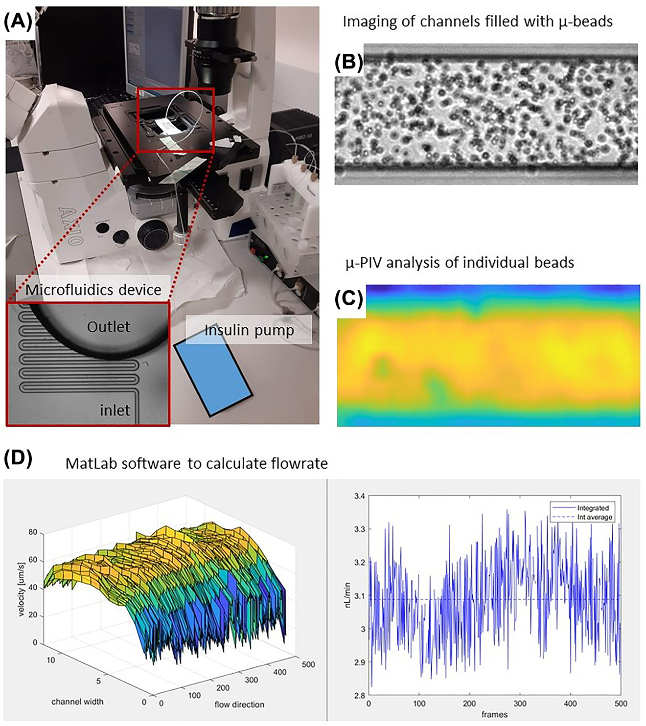 Figure 6:
µ-PIV setup at Strathclyde University.
(A) A microfluidic device mounted on the inverted microscope with a CCD camera. The inset shows a magnification of the microchannel of the device. (B) Typical distribution of microbeads in the channel captured by the CCD camera. (C) Velocity distribution of individual µ-beads. (D) Plot of the parabolic flow profile under the field of view and its temporal evolution.