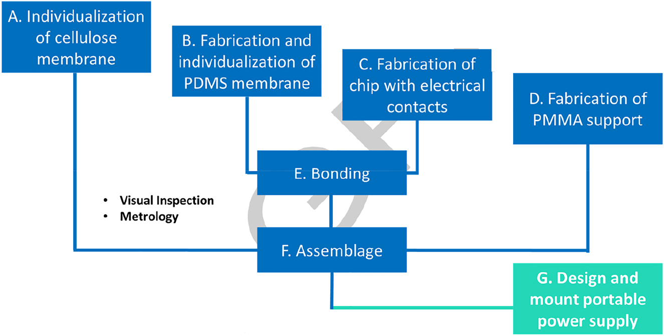 Figure 3:
Schematics of the fabrication steps.