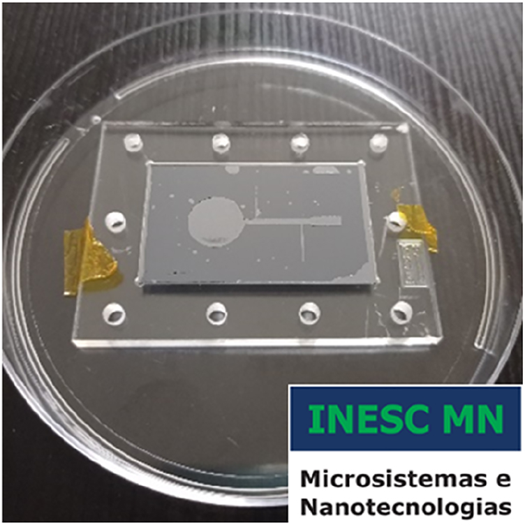Figure 8:
PDMS permanently bonded to a Si substrate. In this example, the Si is not microfabricated.