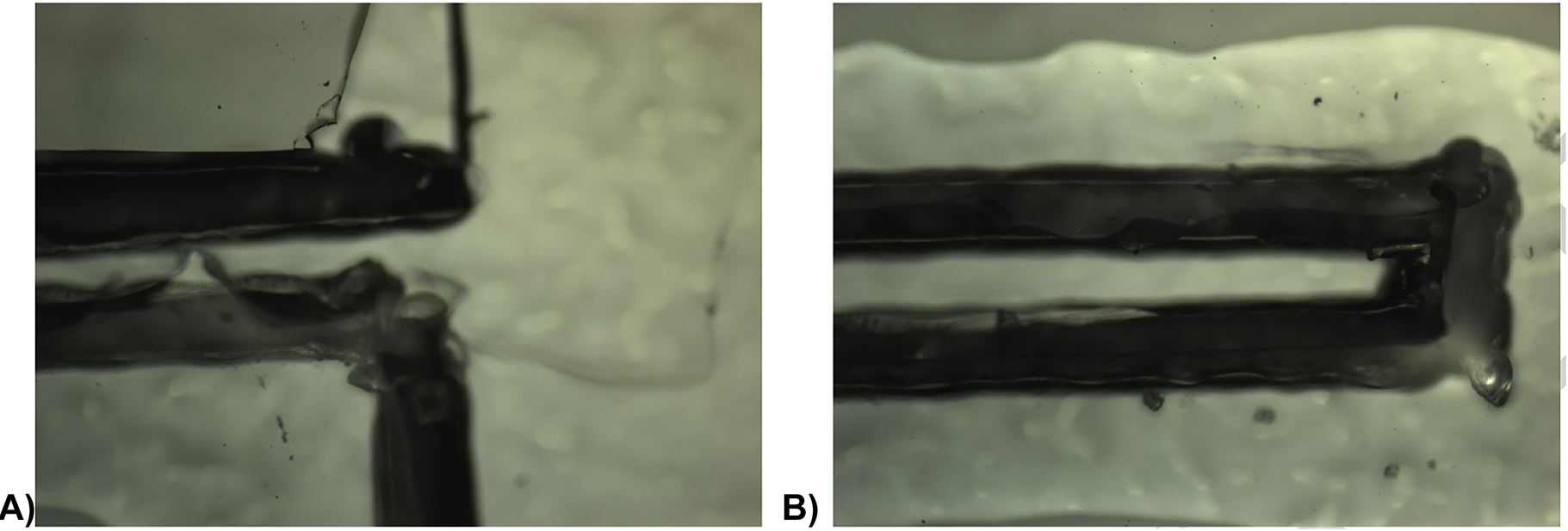 Figure 13:
Cut finishing of 0.6 mm-wide bridges on PDMS of (A) 10:1 ratio and (B) 3:1 ratio formulations, spin coated on PS plates. The darkest region is the result of the cut onto the PS plate right below the PDMS.