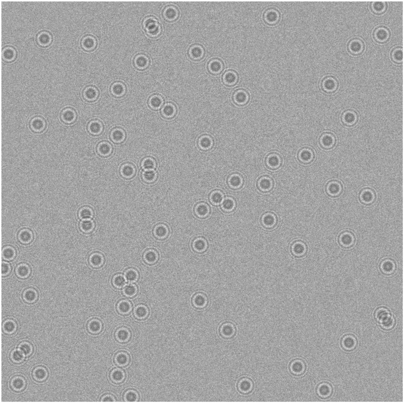 Figure 6:
An example of synthetically generated hologram. For visualization purposes, just a piece (800 × 800 pixel) of the frame is shown here. The real frame is larger (800 × 2,184 pixel).
