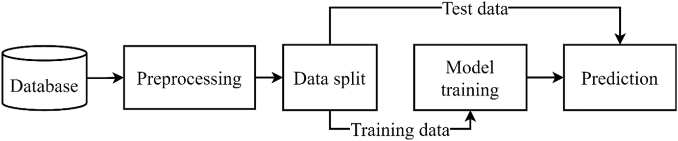 Figure 1: 
General schematic of examination’s process.
