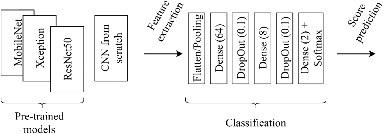 Figure 3: 
Schematic of feature extraction and classification.
